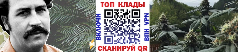 Где купить наркотики Алушта APVP Псилоцибиновые грибы Меф ГАШ Каннабис Амфетамин