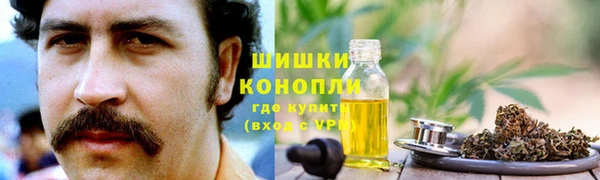 гидропоника Алзамай