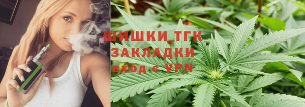гидропоника Алзамай