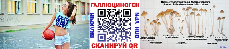 хочу наркоту  Алушта  Псилоцибиновые грибы прущие грибы 